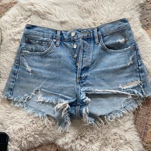AGOLDE Parker Vintage Cut Off Short